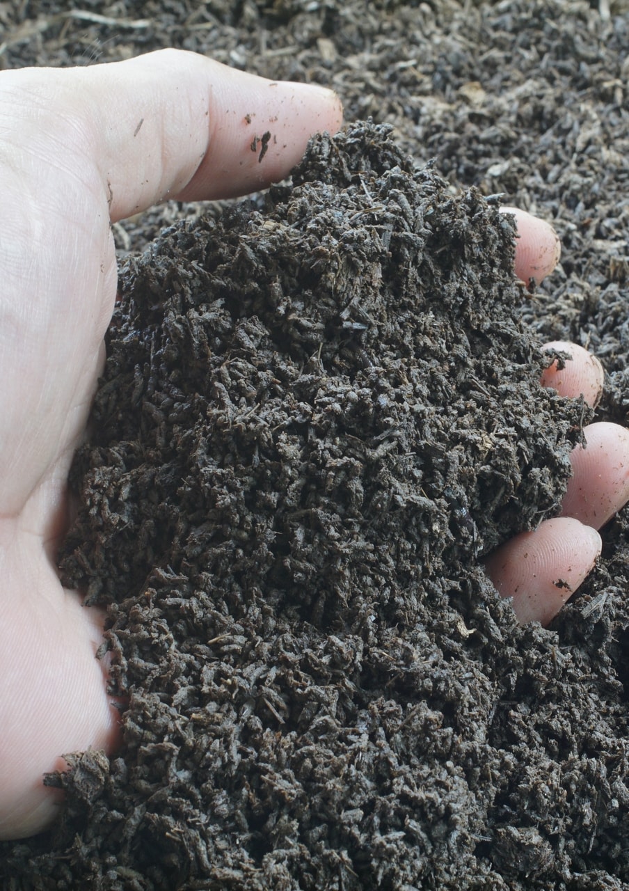 Vermicompost